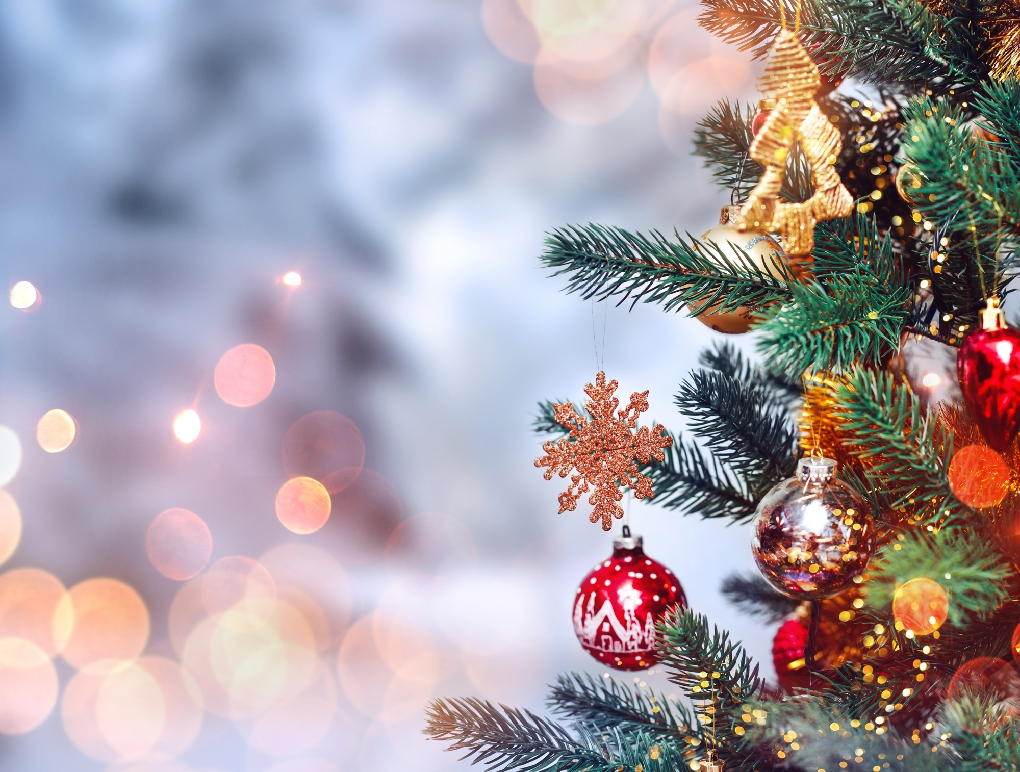 Christmas Christmas Photo 41669079 Fanpop