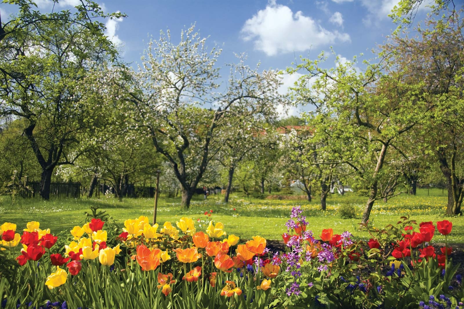 Maximize Your Spring Plan Ahead For Summer Pre Law Advising 