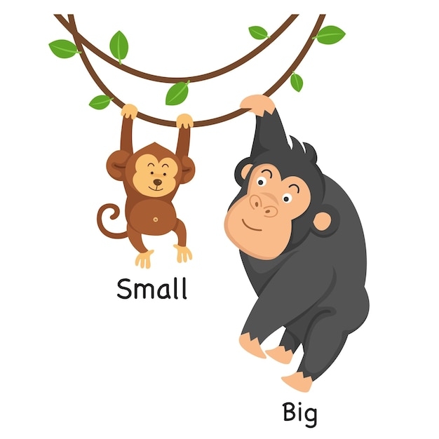 Premium Vector Opposite Big And Small Vector Illustration