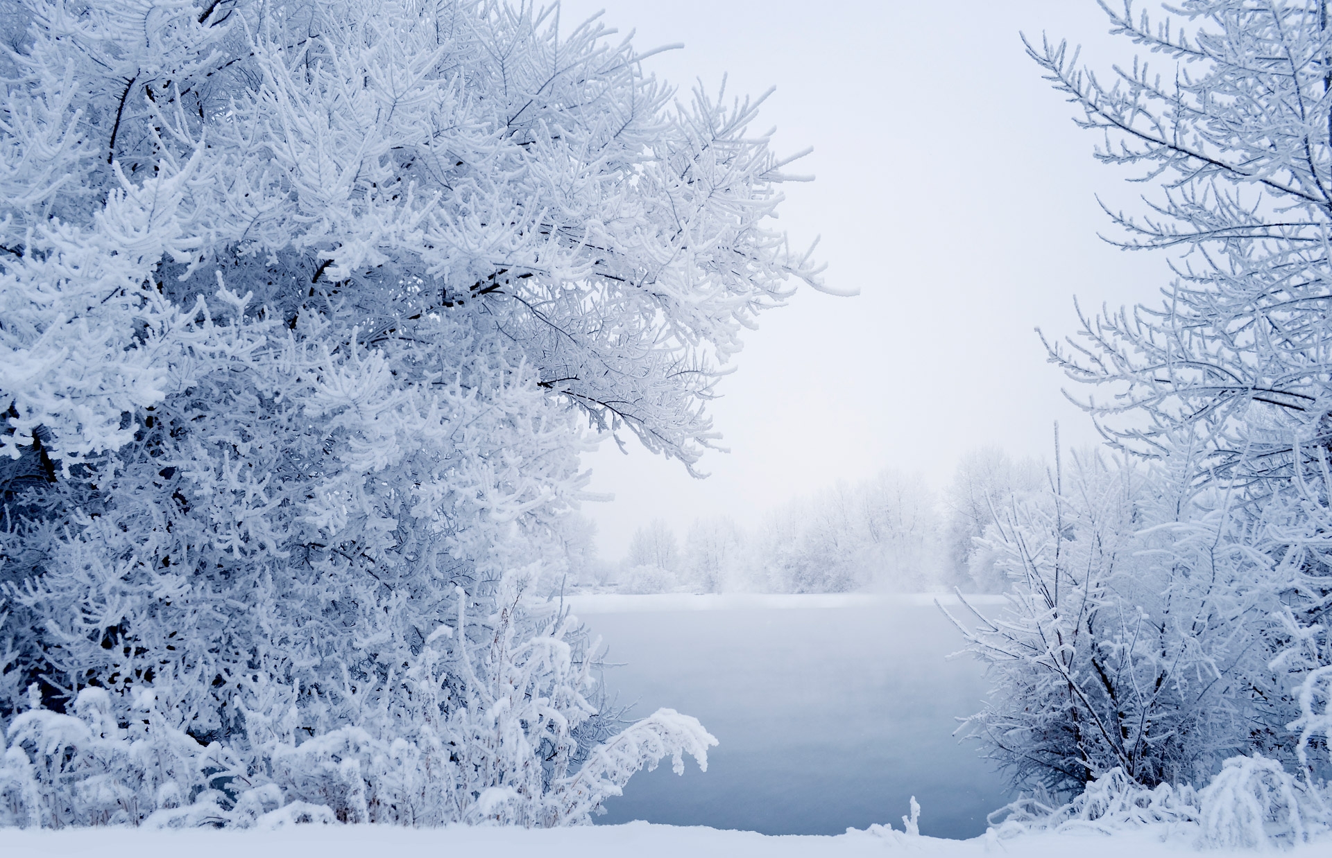 This Winter Free Stock Photo Public Domain Pictures